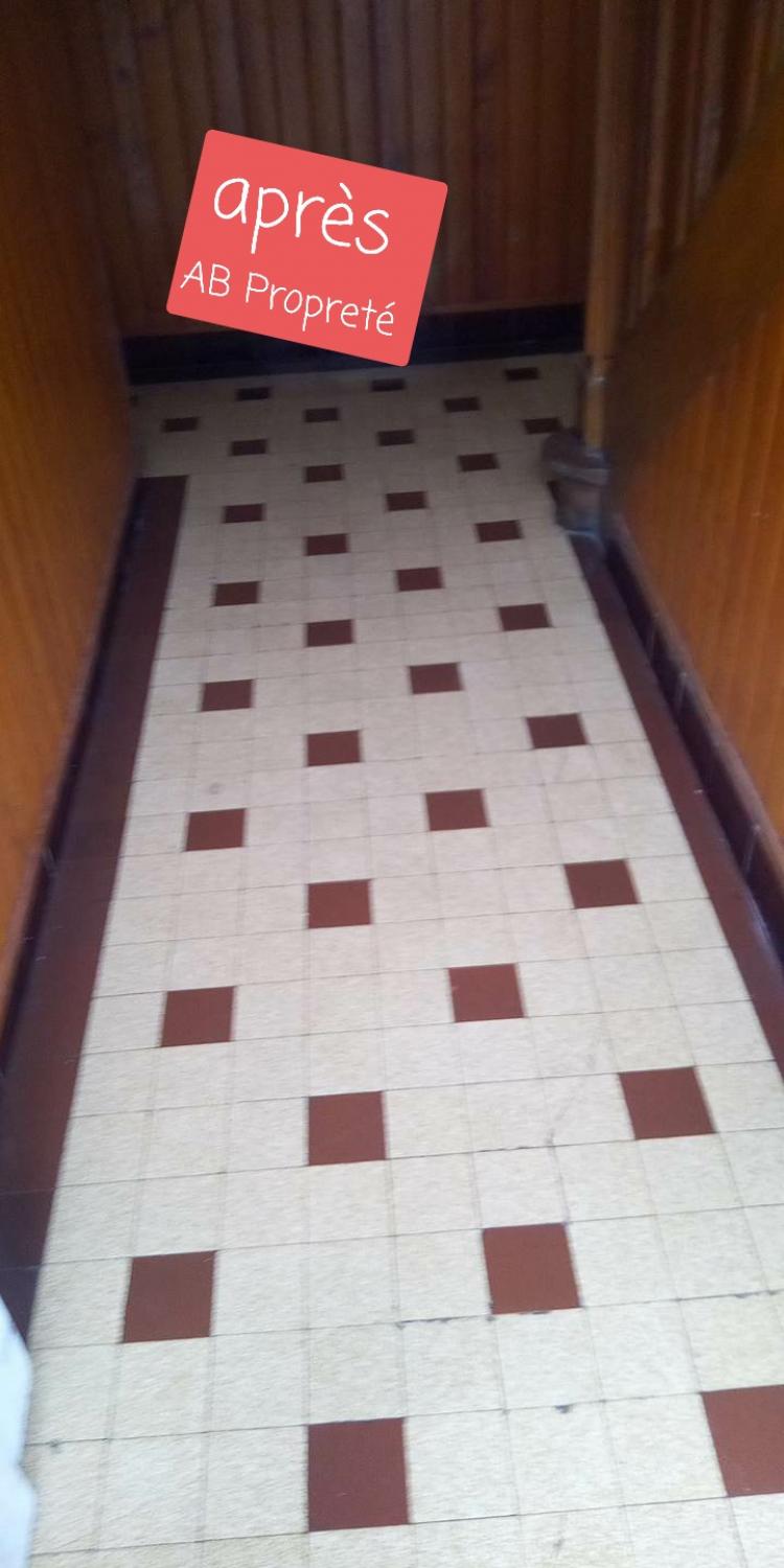 Nettoyage de partie commune immeuble 