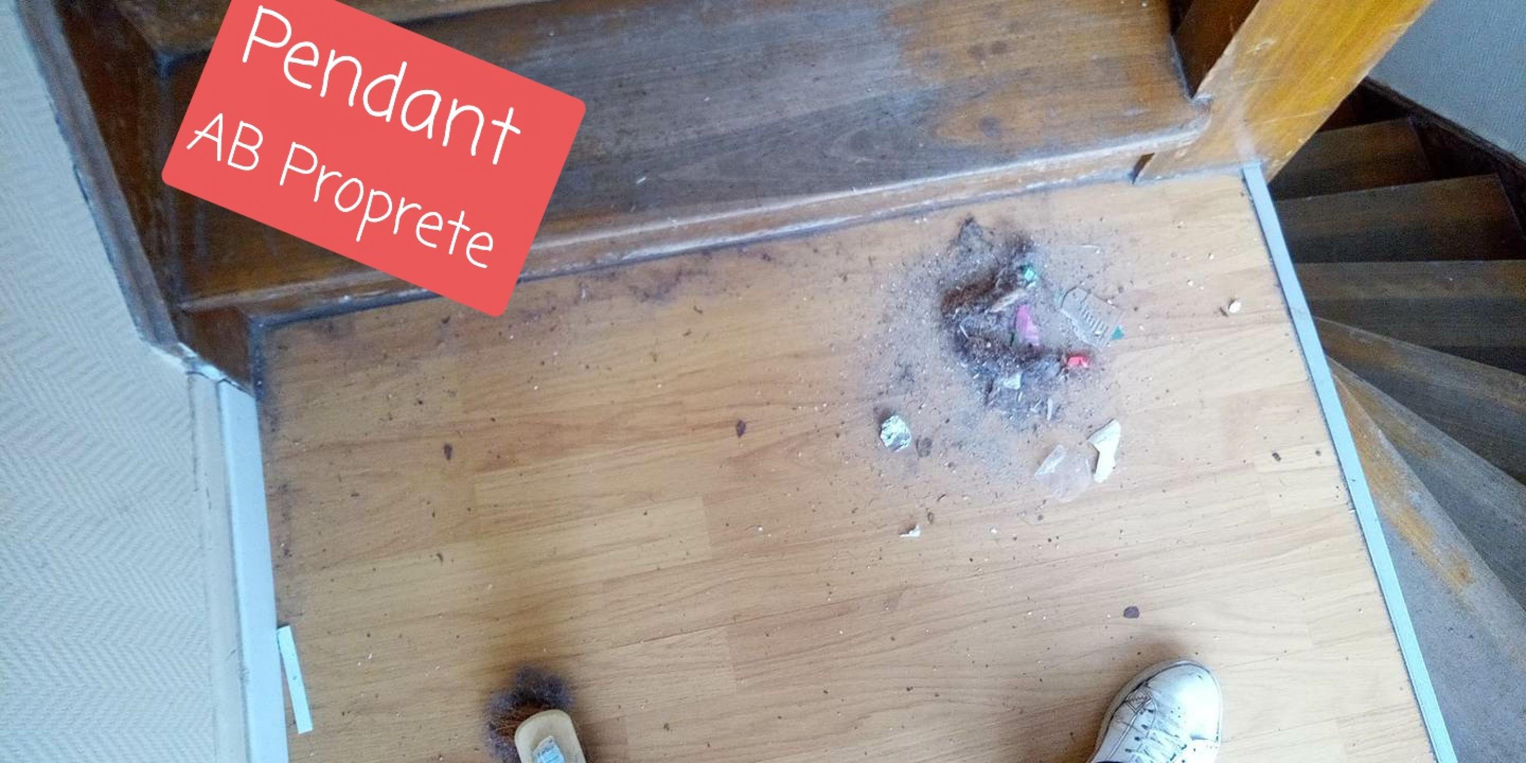 Nettoyage de partie commune immeuble 